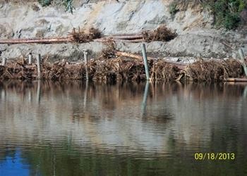 Root Wades Whittier rd